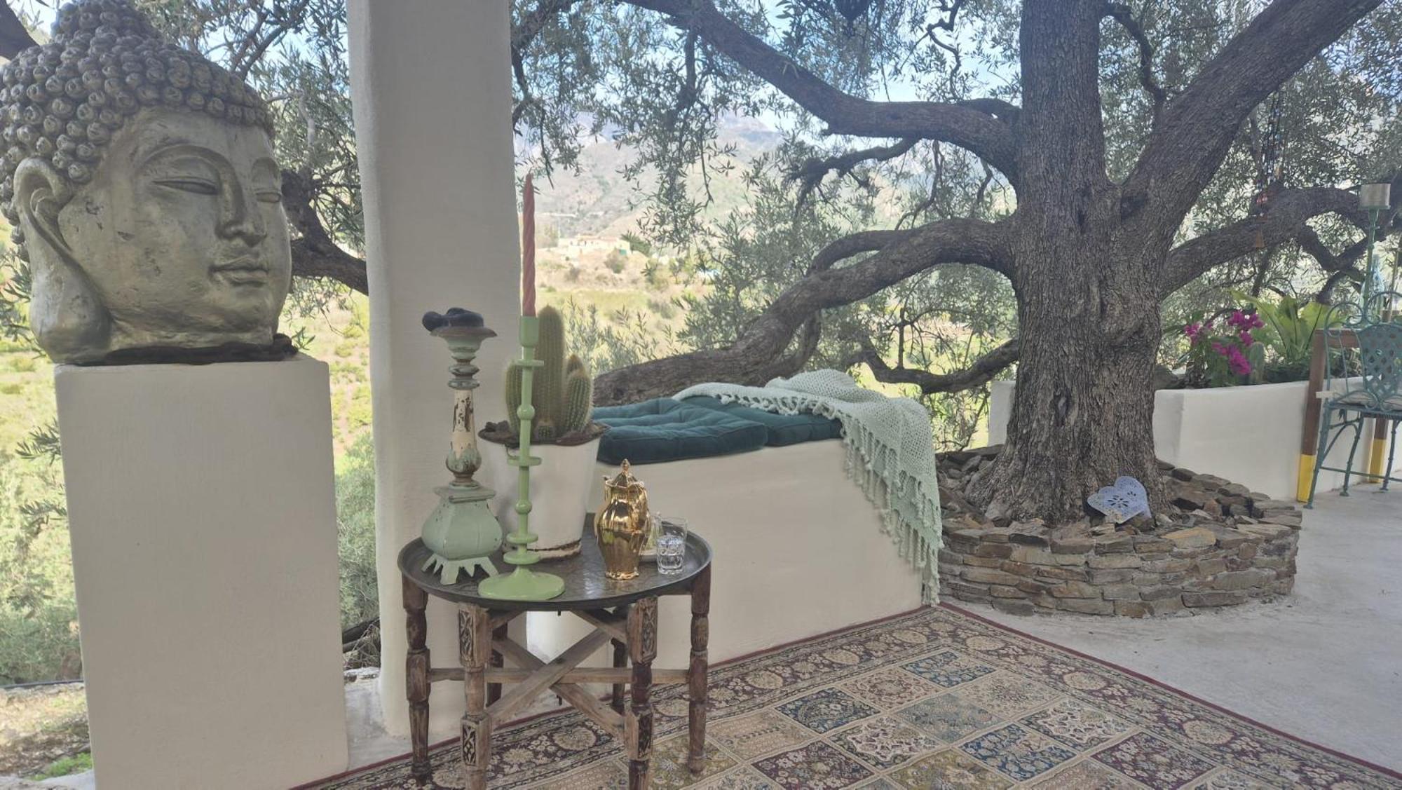 טורוקס B&B Finca Conchales מראה חיצוני תמונה